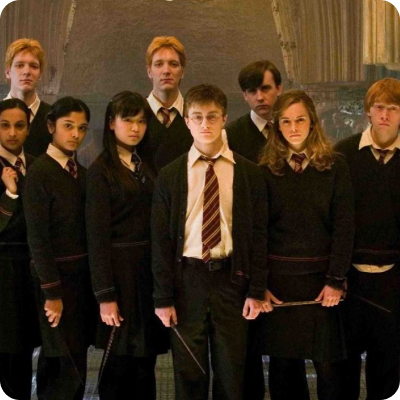 Hogward's house students